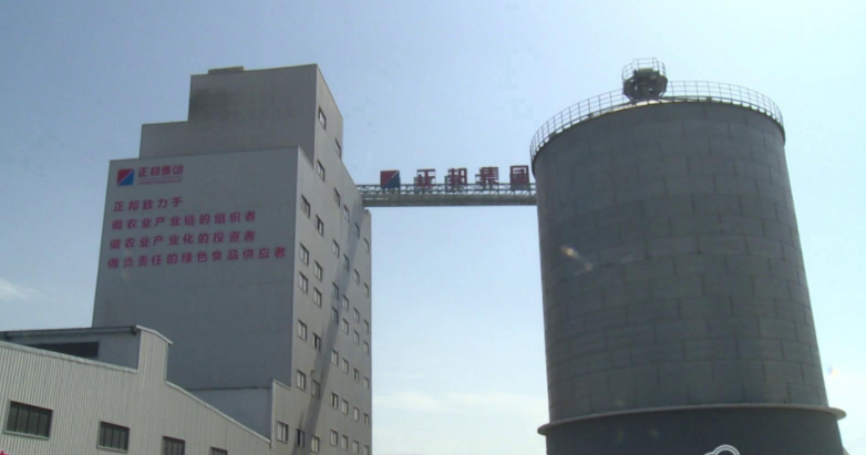 沙洋正(zheng)邦(bang)現(xian)代(dai)公司(si)